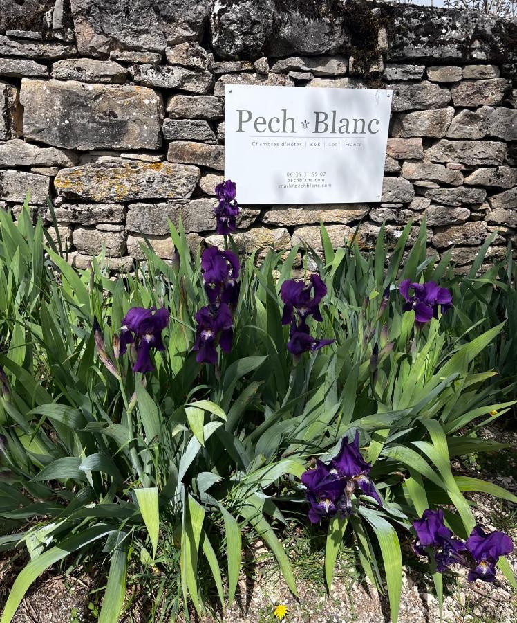 Chambres D'Hotes Pech Blanc Calvignac Buitenkant foto