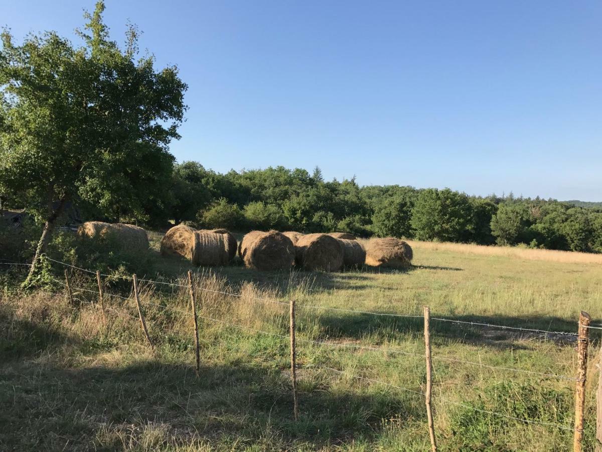 Chambres D'Hotes Pech Blanc Calvignac Buitenkant foto